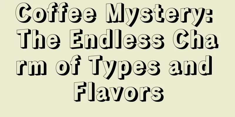 Coffee Mystery: The Endless Charm of Types and Flavors