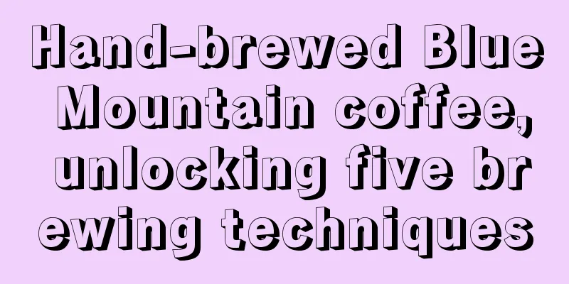 Hand-brewed Blue Mountain coffee, unlocking five brewing techniques