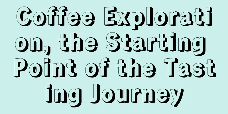 Coffee Exploration, the Starting Point of the Tasting Journey