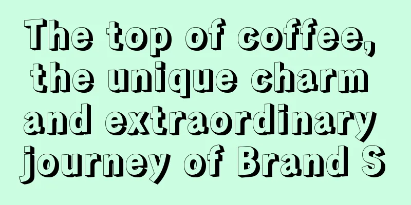 The top of coffee, the unique charm and extraordinary journey of Brand S