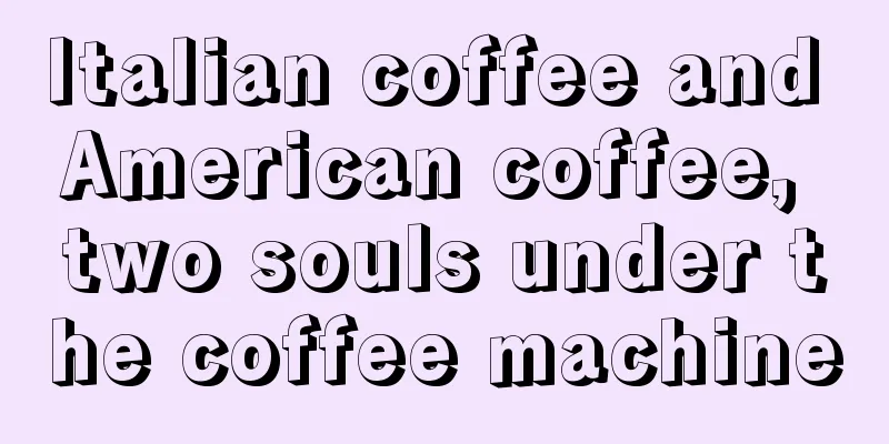 Italian coffee and American coffee, two souls under the coffee machine