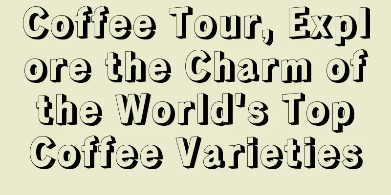 Coffee Tour, Explore the Charm of the World's Top Coffee Varieties