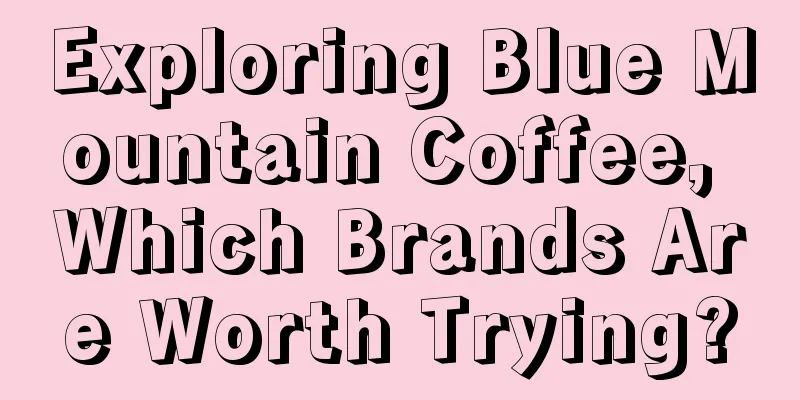 Exploring Blue Mountain Coffee, Which Brands Are Worth Trying?