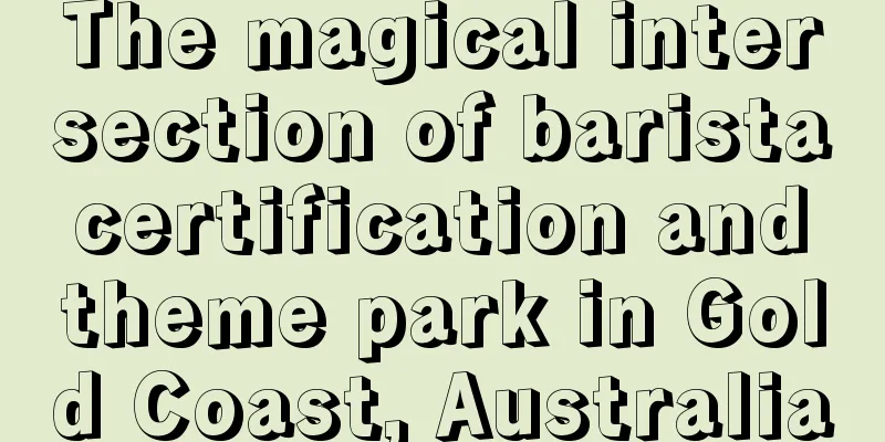 The magical intersection of barista certification and theme park in Gold Coast, Australia