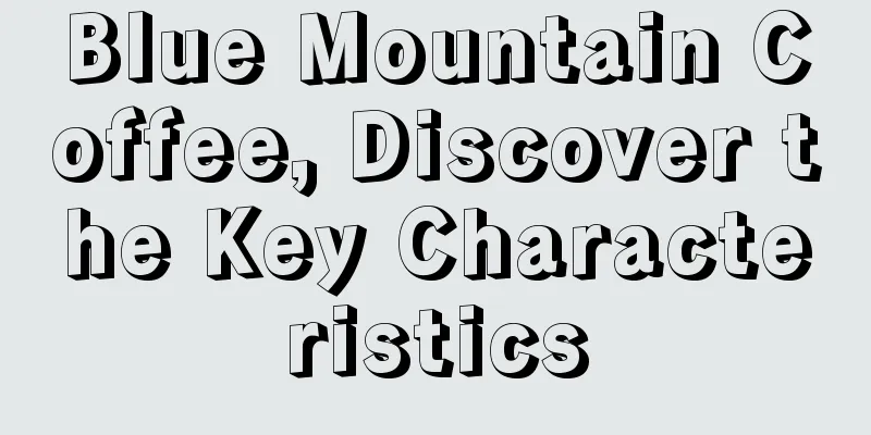 Blue Mountain Coffee, Discover the Key Characteristics