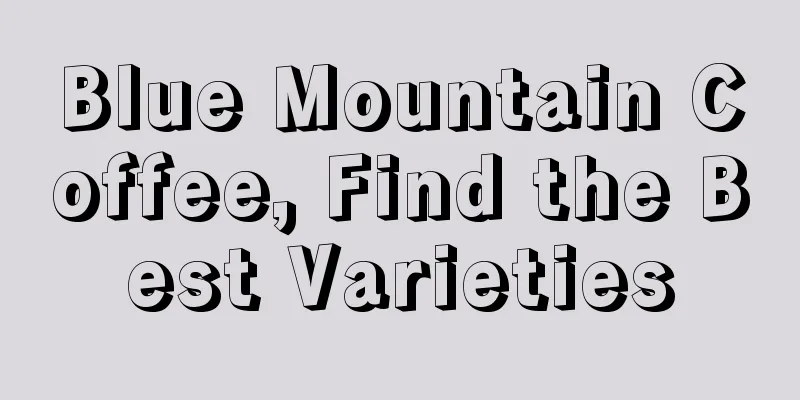 Blue Mountain Coffee, Find the Best Varieties