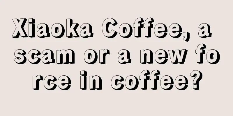 Xiaoka Coffee, a scam or a new force in coffee?