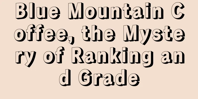 Blue Mountain Coffee, the Mystery of Ranking and Grade