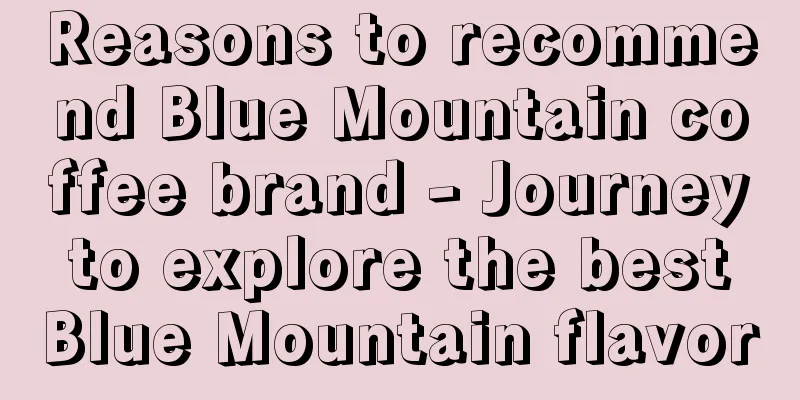 Reasons to recommend Blue Mountain coffee brand - Journey to explore the best Blue Mountain flavor