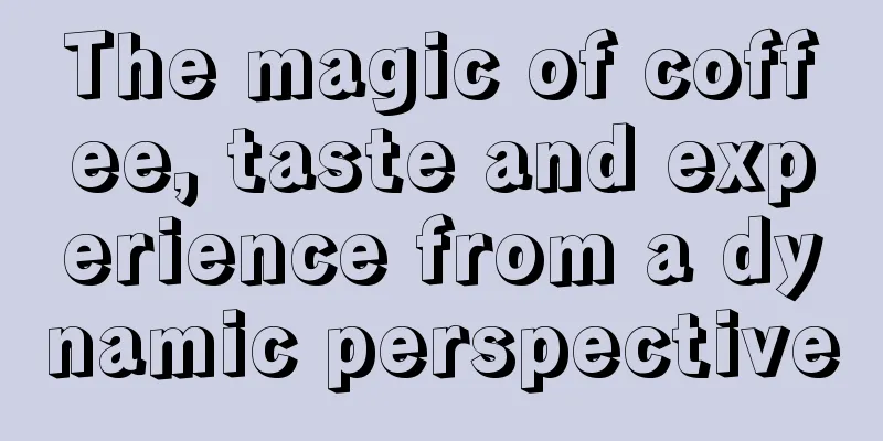 The magic of coffee, taste and experience from a dynamic perspective