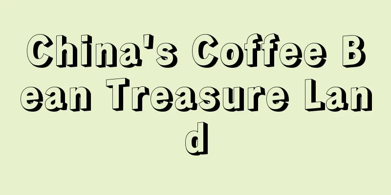 China's Coffee Bean Treasure Land