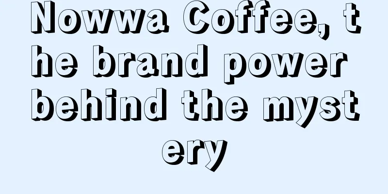 Nowwa Coffee, the brand power behind the mystery