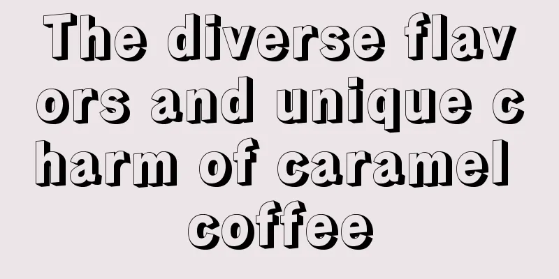 The diverse flavors and unique charm of caramel coffee