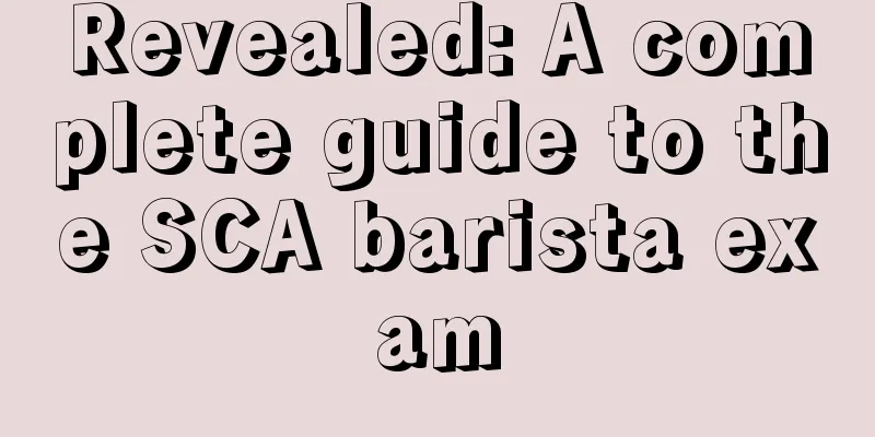 Revealed: A complete guide to the SCA barista exam