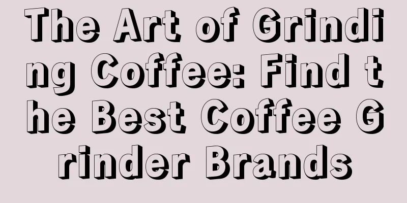 The Art of Grinding Coffee: Find the Best Coffee Grinder Brands