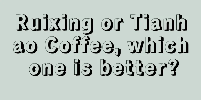 Ruixing or Tianhao Coffee, which one is better?