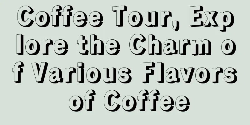 Coffee Tour, Explore the Charm of Various Flavors of Coffee