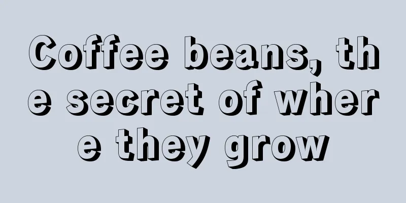 Coffee beans, the secret of where they grow