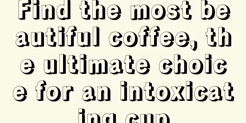 Find the most beautiful coffee, the ultimate choice for an intoxicating cup