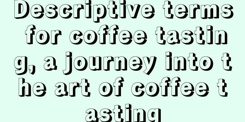 Descriptive terms for coffee tasting, a journey into the art of coffee tasting