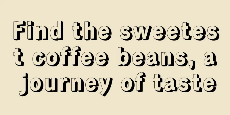 Find the sweetest coffee beans, a journey of taste