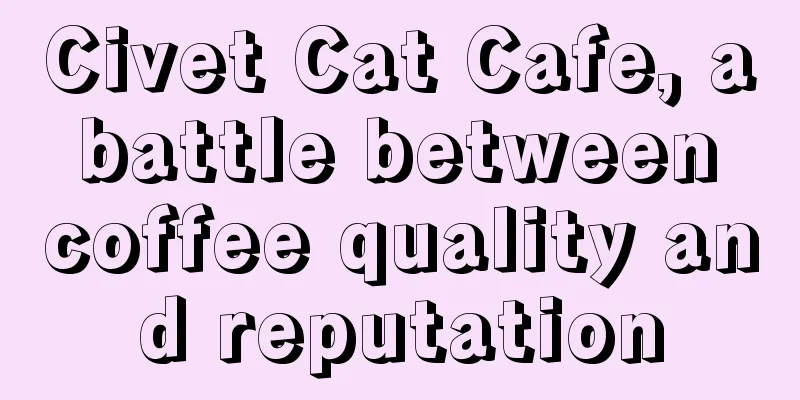 Civet Cat Cafe, a battle between coffee quality and reputation