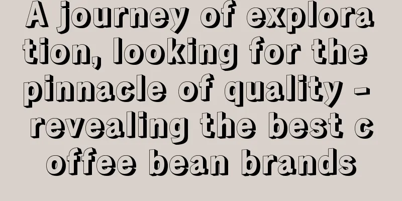 A journey of exploration, looking for the pinnacle of quality - revealing the best coffee bean brands