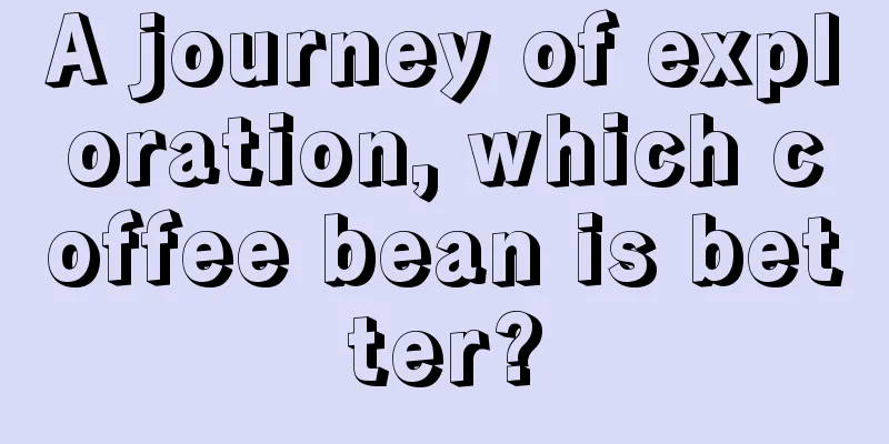 A journey of exploration, which coffee bean is better?