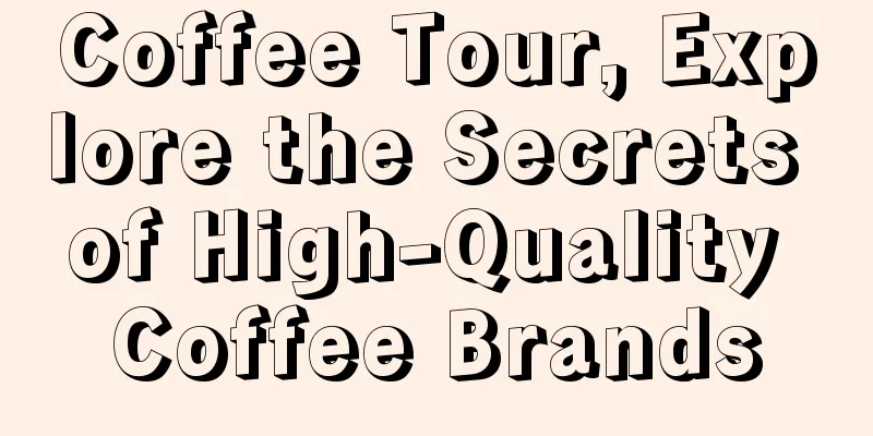 Coffee Tour, Explore the Secrets of High-Quality Coffee Brands