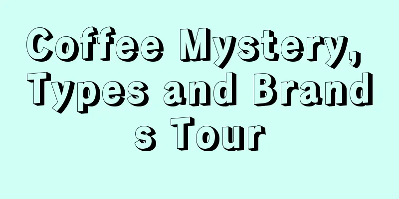 Coffee Mystery, Types and Brands Tour