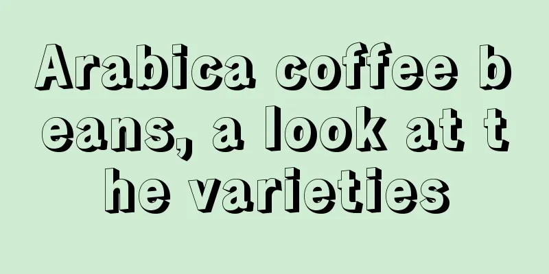 Arabica coffee beans, a look at the varieties