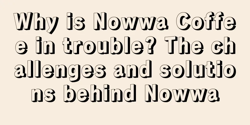 Why is Nowwa Coffee in trouble? The challenges and solutions behind Nowwa