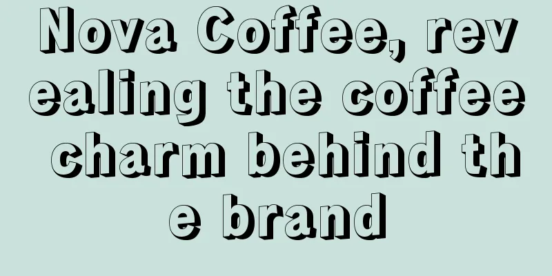 Nova Coffee, revealing the coffee charm behind the brand