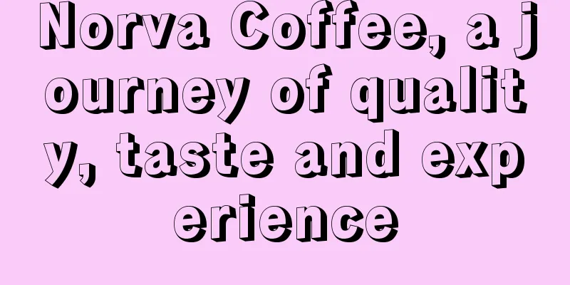 Norva Coffee, a journey of quality, taste and experience