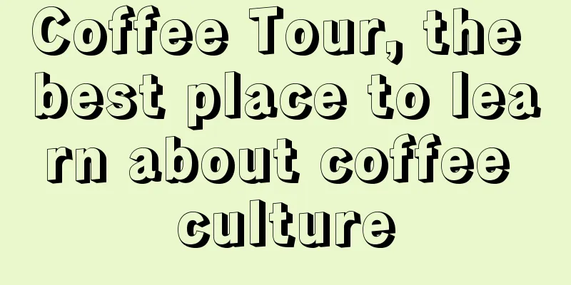 Coffee Tour, the best place to learn about coffee culture