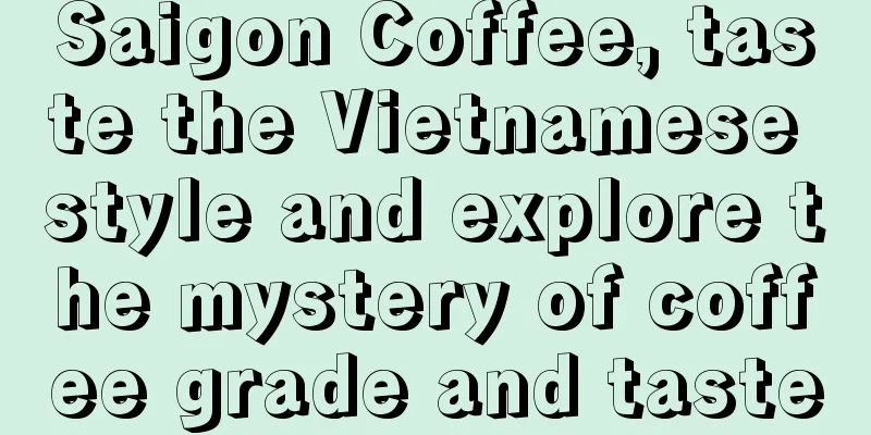 Saigon Coffee, taste the Vietnamese style and explore the mystery of coffee grade and taste