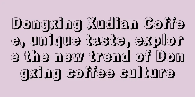 Dongxing Xudian Coffee, unique taste, explore the new trend of Dongxing coffee culture