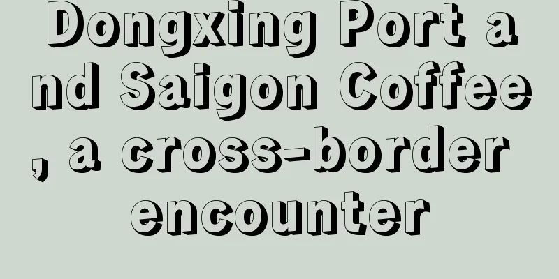 Dongxing Port and Saigon Coffee, a cross-border encounter