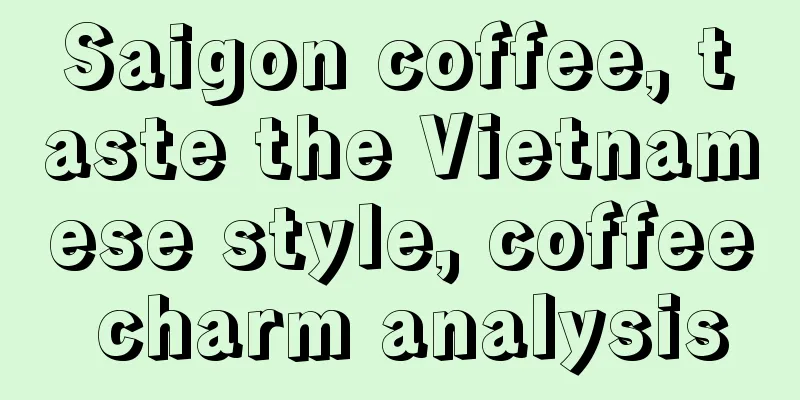 Saigon coffee, taste the Vietnamese style, coffee charm analysis