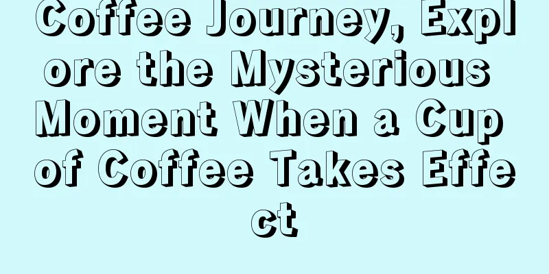 Coffee Journey, Explore the Mysterious Moment When a Cup of Coffee Takes Effect