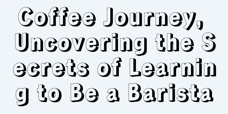 Coffee Journey, Uncovering the Secrets of Learning to Be a Barista