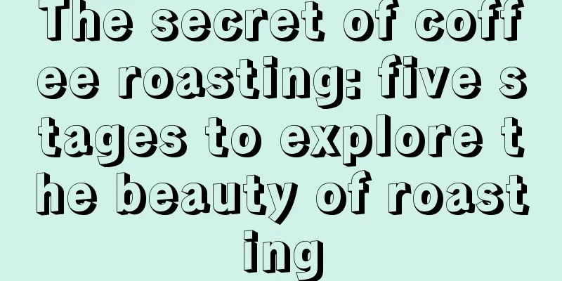 The secret of coffee roasting: five stages to explore the beauty of roasting