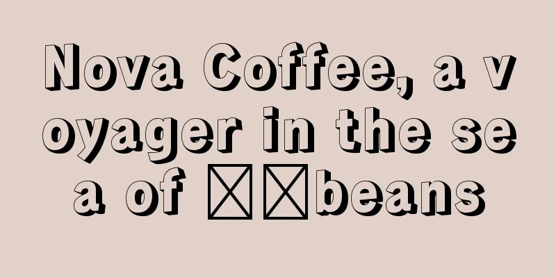 Nova Coffee, a voyager in the sea of ​​beans