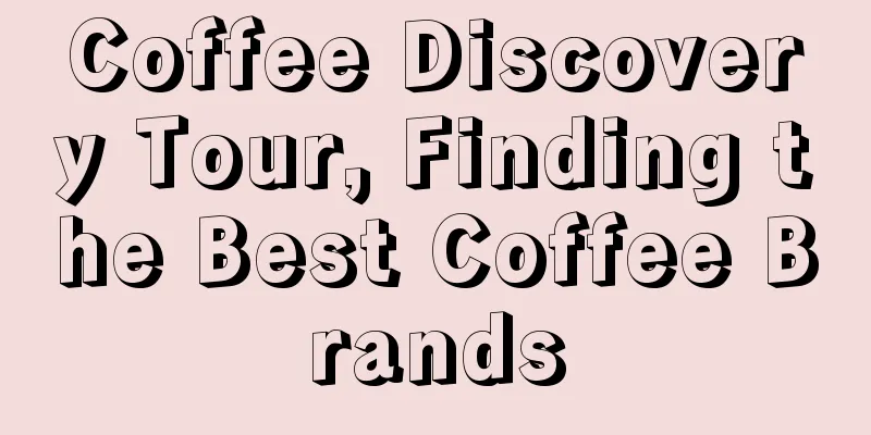 Coffee Discovery Tour, Finding the Best Coffee Brands