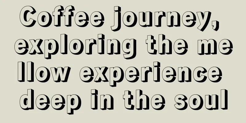 Coffee journey, exploring the mellow experience deep in the soul