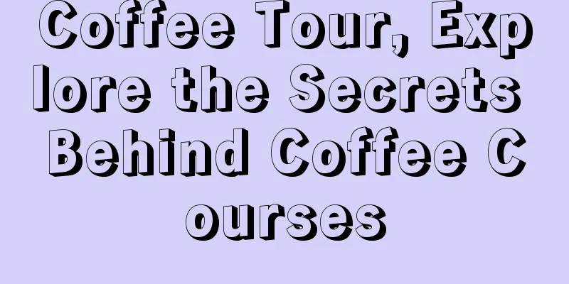 Coffee Tour, Explore the Secrets Behind Coffee Courses