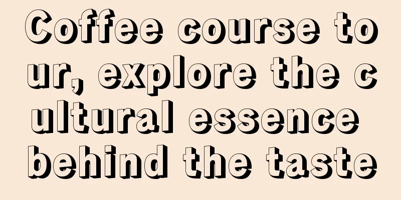 Coffee course tour, explore the cultural essence behind the taste