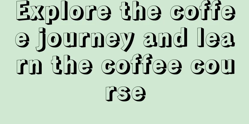 Explore the coffee journey and learn the coffee course