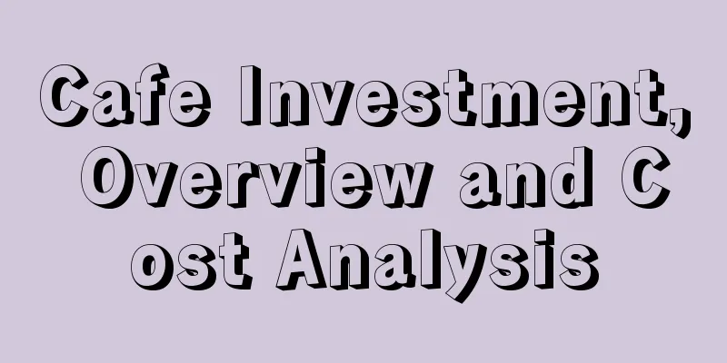 Cafe Investment, Overview and Cost Analysis