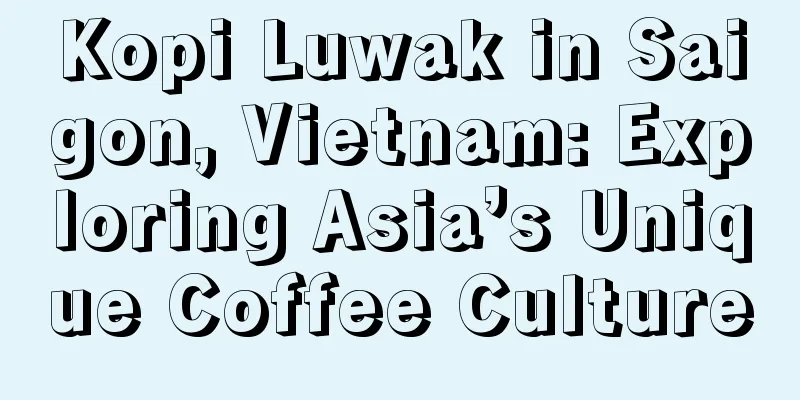 Kopi Luwak in Saigon, Vietnam: Exploring Asia’s Unique Coffee Culture